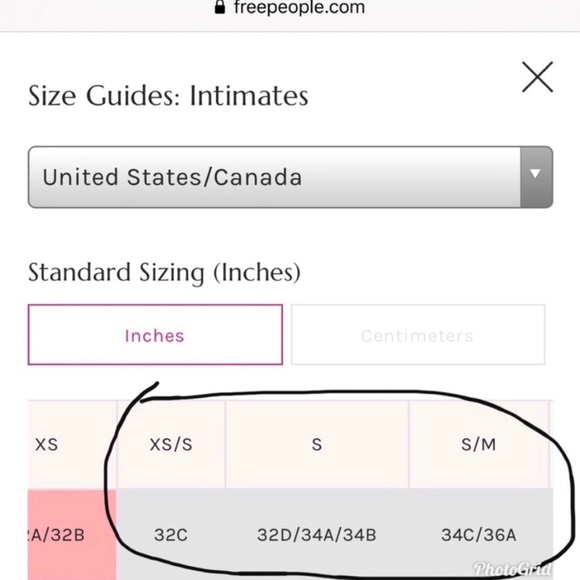 Free People Galloon Lace Bralette Blue Small NWT - Picture 13 of 13